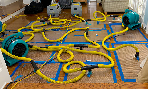 Professional Water Damage Restoration technician working in Sixes, OR